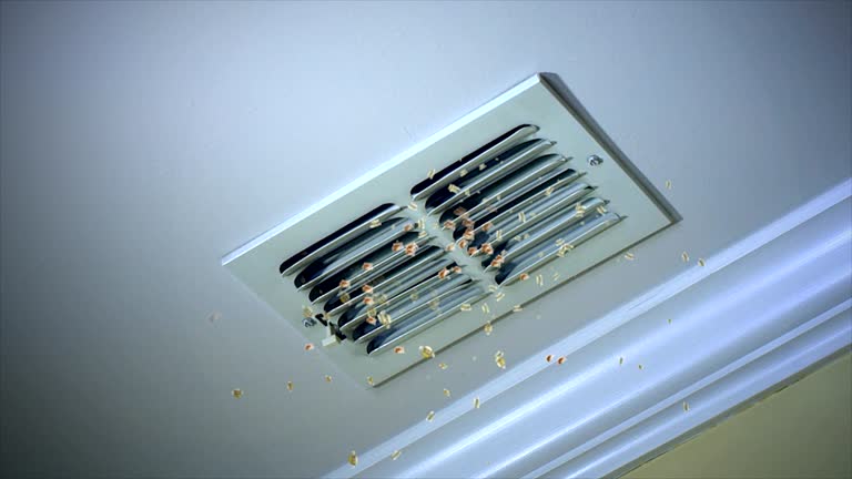 Ductwork Cleaning Services in Wildewood, MD