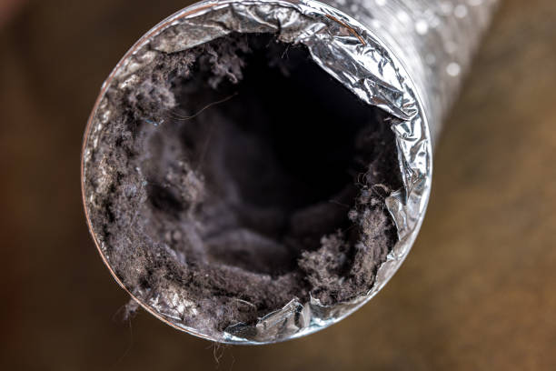 Best Emergency Air Duct Cleaning  in Wildewood, MD