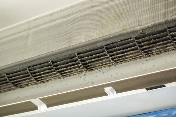 Best Duct Cleaning for Offices  in Wildewood, MD